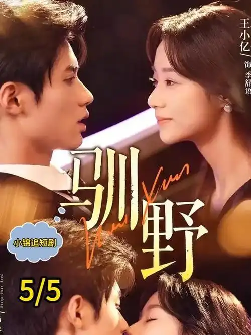 青瓷巷古装权谋剧全集